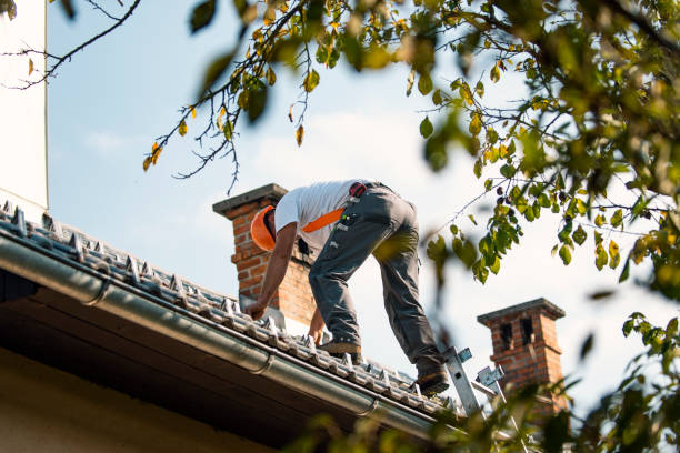 Best Roof Coating and Sealing  in Fremont, MI