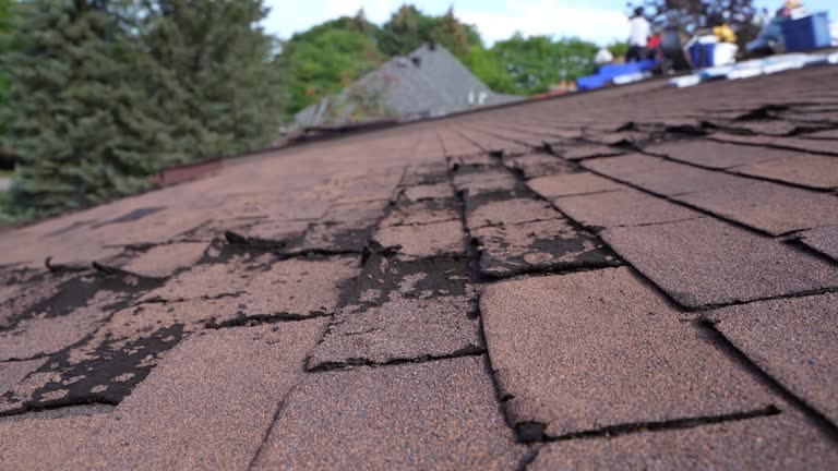 Best Hot Roofs  in Fremont, MI