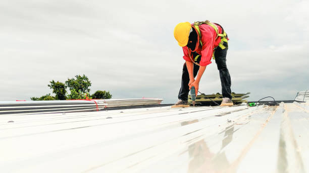 Fast & Reliable Emergency Roof Repairs in Fremont, MI