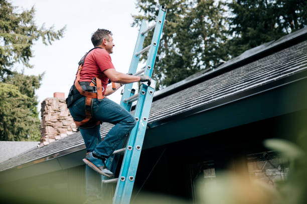 Best Storm Damage Roof Repair  in Fremont, MI